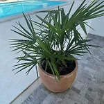 Iva Apartment Vodice