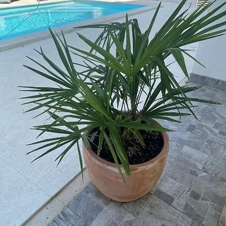 Iva Appartement Vodice