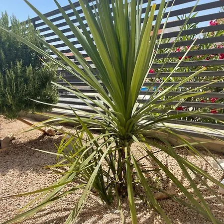 Iva Apartment Vodice