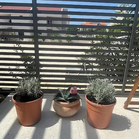 Iva * ヴォディツェ