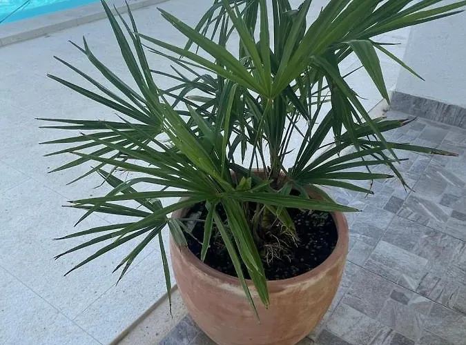 Iva Appartamento Vodice