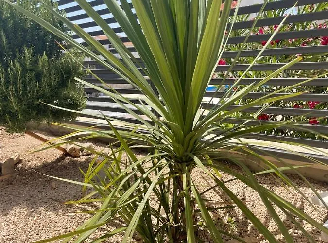 Iva Appartement Vodice